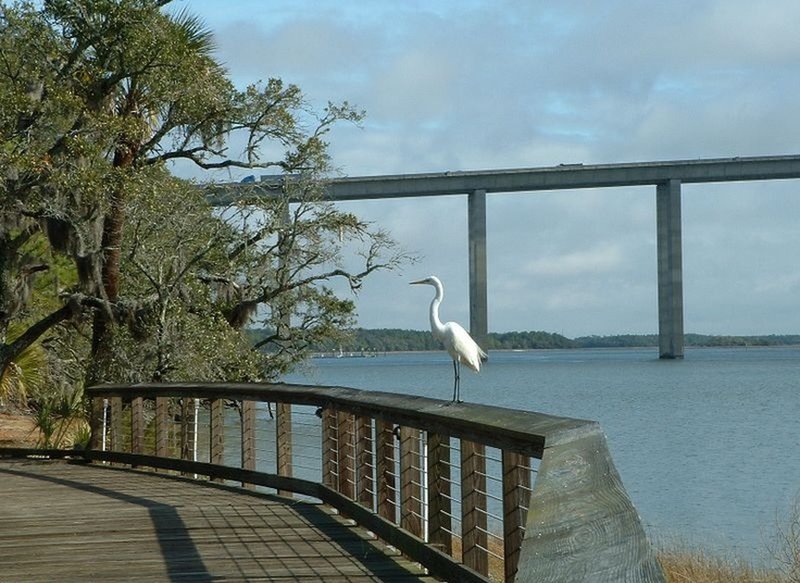 The trail's boardwalk occasionally sports feathered friends!