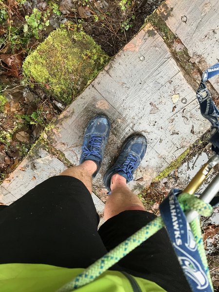 There are 5-6 bridges to cross along the Cougar Mountain Red Town Loop. Some of them can be pretty slick when it rains.