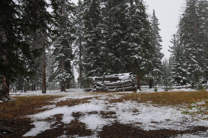 The old cabin still stands (barely) near Crystal Lake.