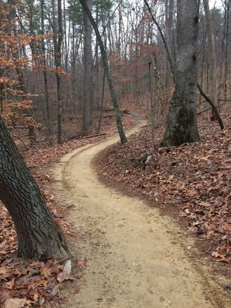 The Prison Camp Trail winds through the forest on beautiful, buff singletrack.