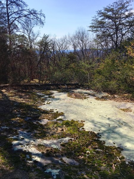 A sparingly mossy, mostly bald rock offers a peek through the trees to the hills beyond.