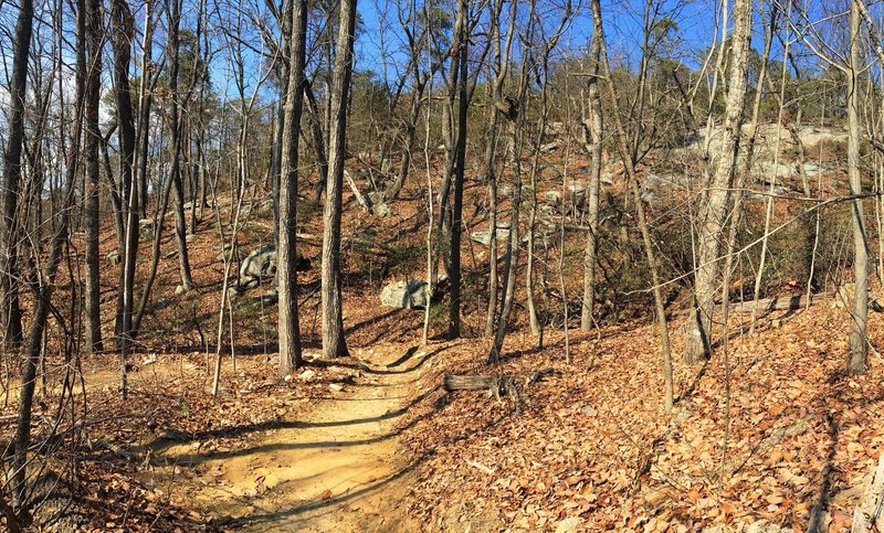 High on Rocky Face, experience beautiful hardwoods and dramatic views of the exposed bedrock.