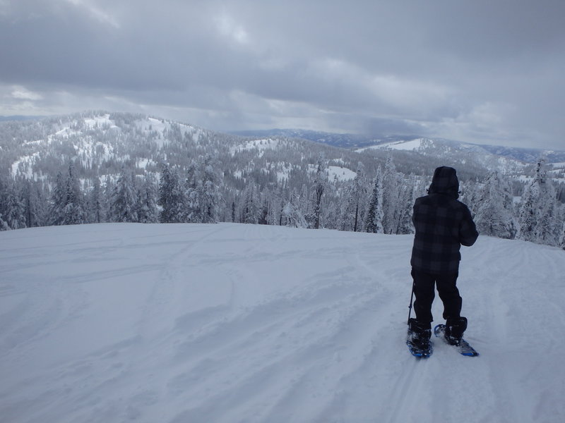 Pilot Peak offers a beautiful overlook of the surrounding national forest.