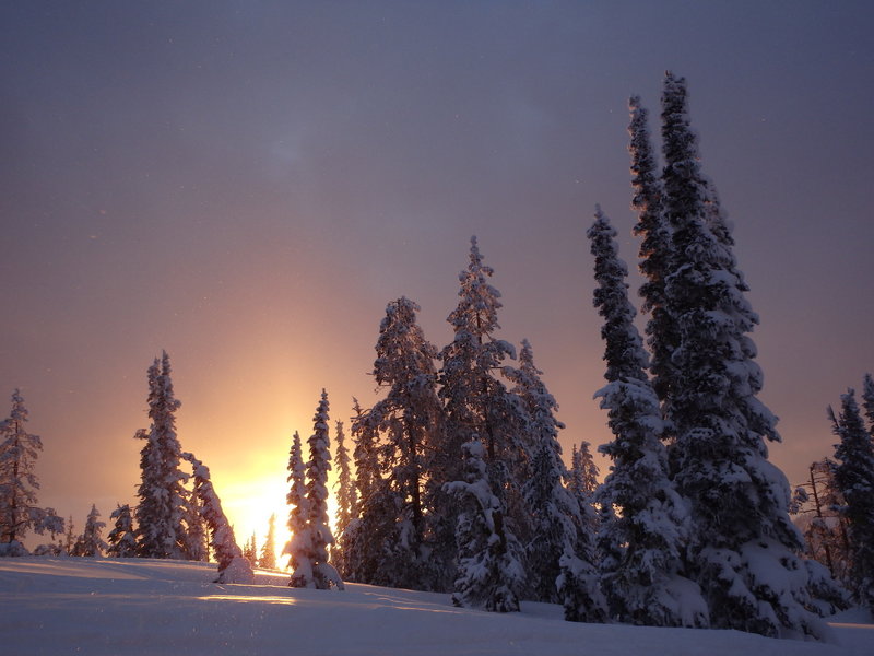 The sun sets over a grove of frosted evergreens on the road to the summit of Pilot Peak.