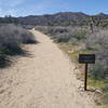 Look for this sign marking the trail heading up the wash. Most of the trail is sand (as seen here).