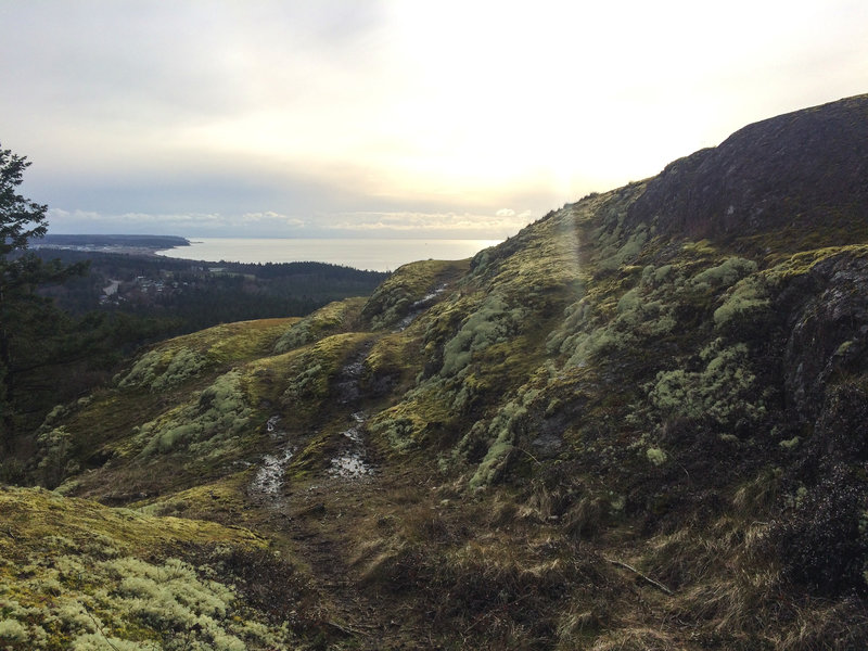 A mossy mountaintop sweetens your view.