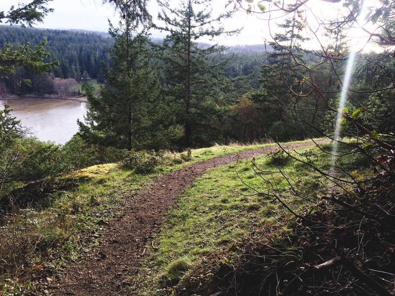 Goose Rock Summit Trail is an absolutely beautiful coastal trail in great condition.