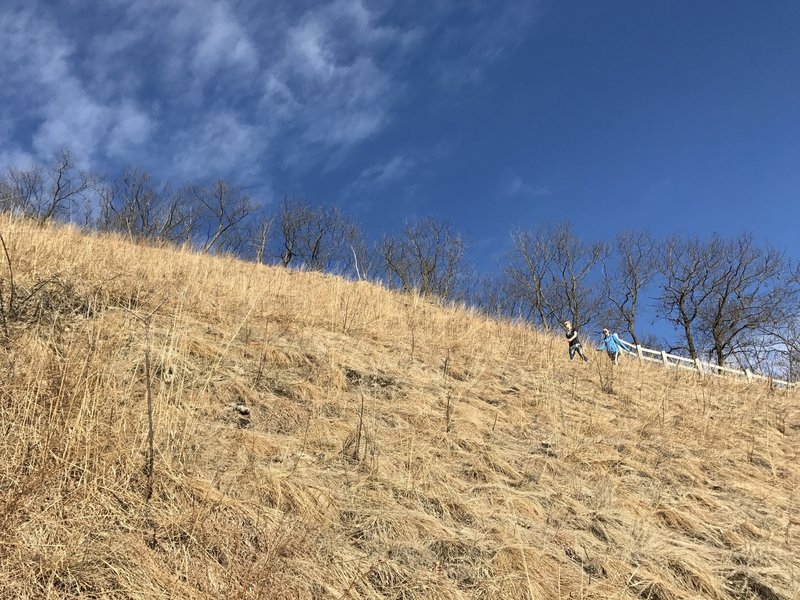 A switchback cuts through a goat prairie on Brady's Bluff Trail.