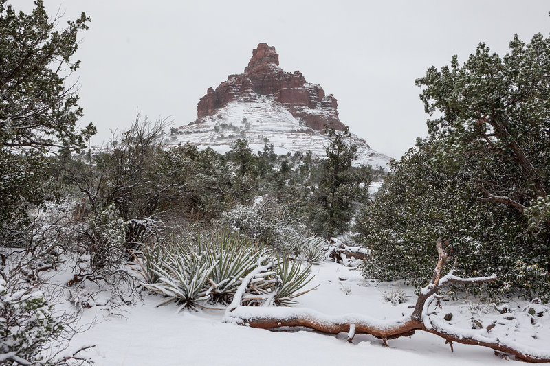 Bell Rock hides under the snow in Arizona.