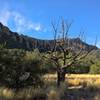 Enjoy this serene meadowland along the Pinnacles Trail.