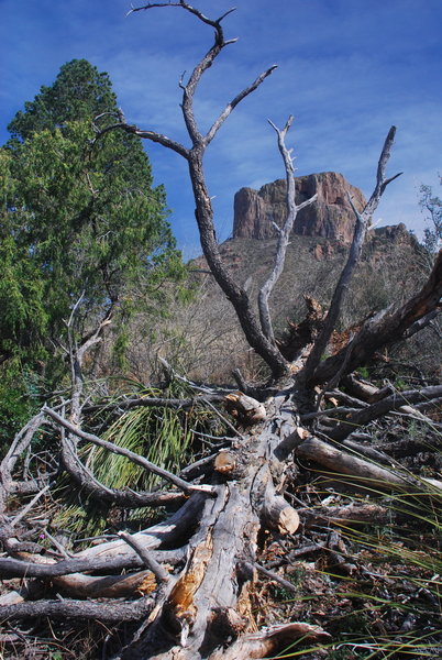 Take in a great view of Casa Grande from the Amphitheater Connector.