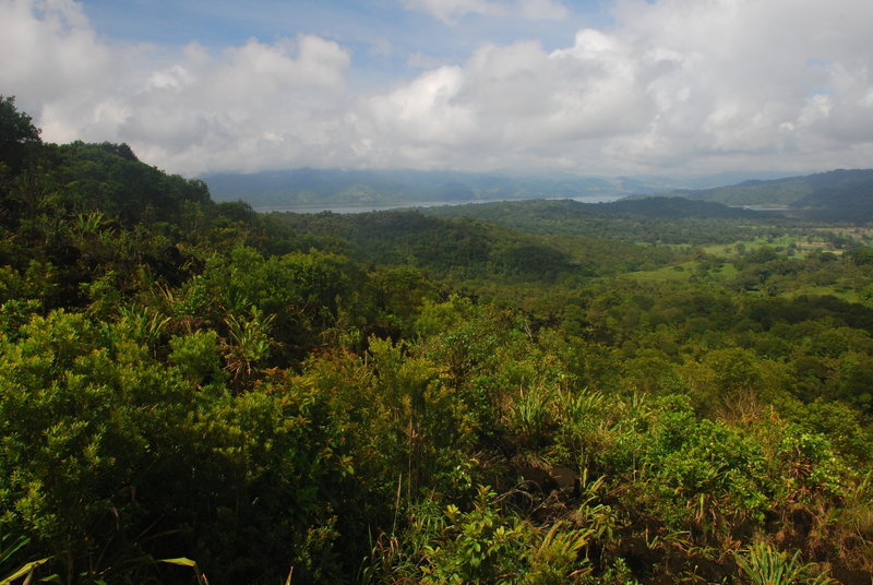 Enjoy a pleasant view over Lake Arenal from the base of the 1968 lava flow.