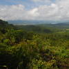 Enjoy a pleasant view over Lake Arenal from the base of the 1968 lava flow.