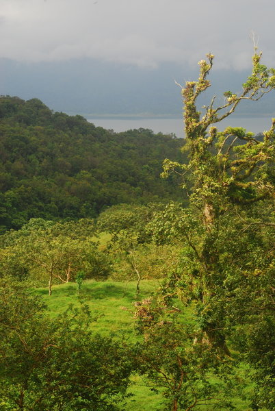 Look out over the pasture to rainforest and Lake Arenal in the early morning.