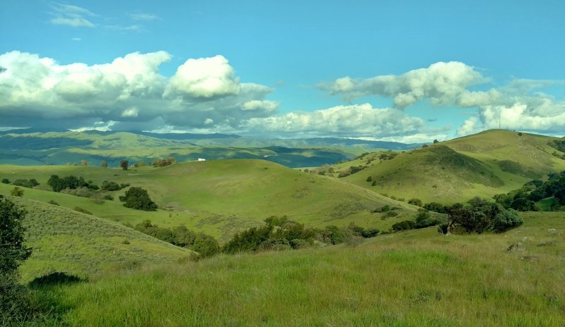 Rolling, grass-covered Santa Teresa Hills stand with the Diablo Range in the distance from high on the Stile Ranch Trail.