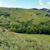 A stream runs through the valley in early March along the Stile Ranch Trail.