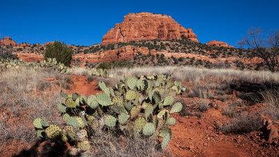 The Bear Mountain Trail starts off in a pleasant wash before climbing steeply into the hills.