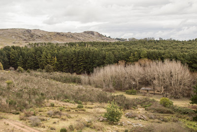 True to its name, La Casa del Bosque is a small ranch house at the edge of a large forest.
