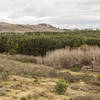 True to its name, La Casa del Bosque is a small ranch house at the edge of a large forest.