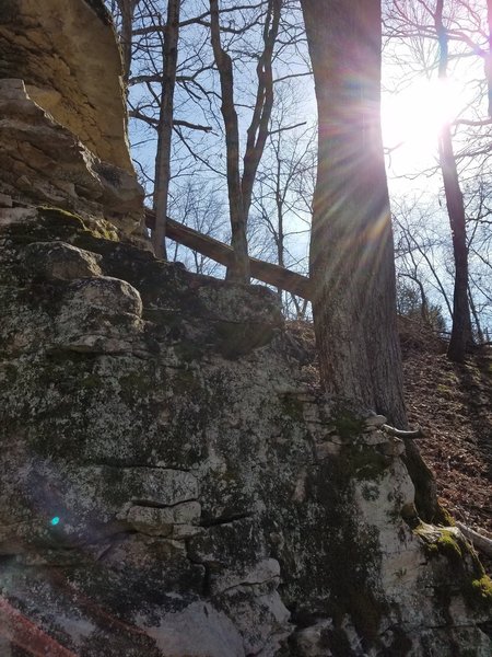 A little winter light shining through the trees at Sugar Creek Bluffs.