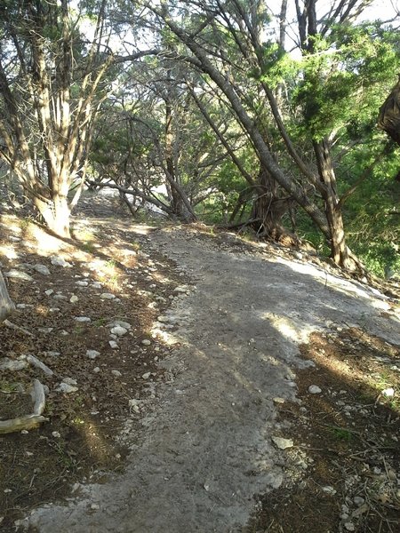 A nice section of solid granite along the Goldwater Loop.