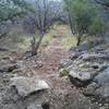 One of the few technical sections just west of the Russell Park Trailhead.