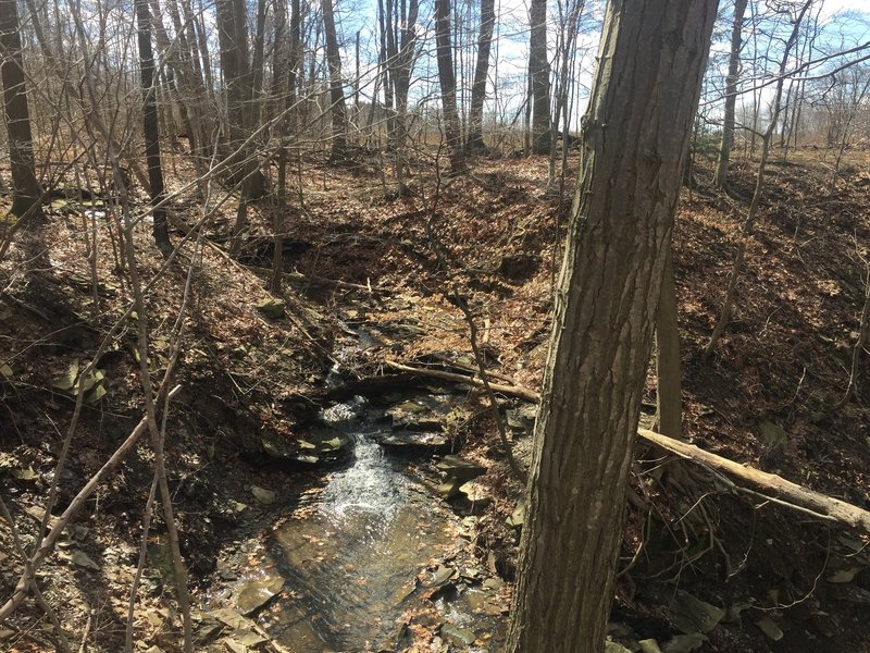 This is one of the small streams that feed into Sagamore Creek along the Sagamore Creek Loop Trail.
