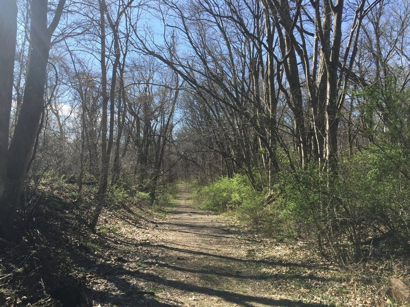 Trail 2 is a bit wider than some of the park's other trails, but that doesn't make your surroundings any less beautiful.