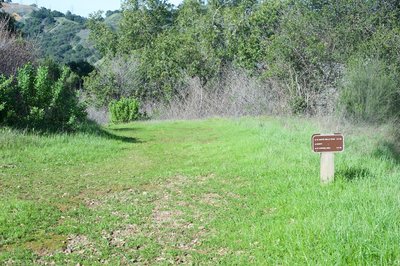 The trail splits and a short connector trail drops to Montebello Road.
