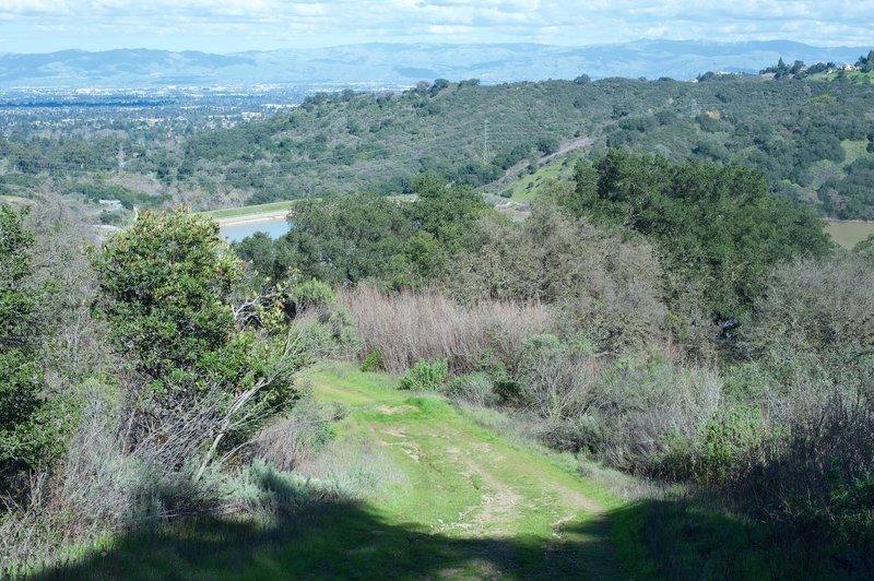 Enjoy great views back toward the South Bay from the Orchard Loop Trail.