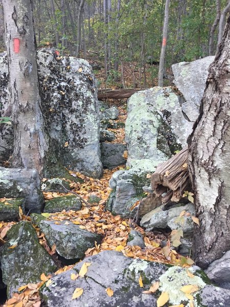 Squeeze between tight rock outcroppings along this portion of the MST.