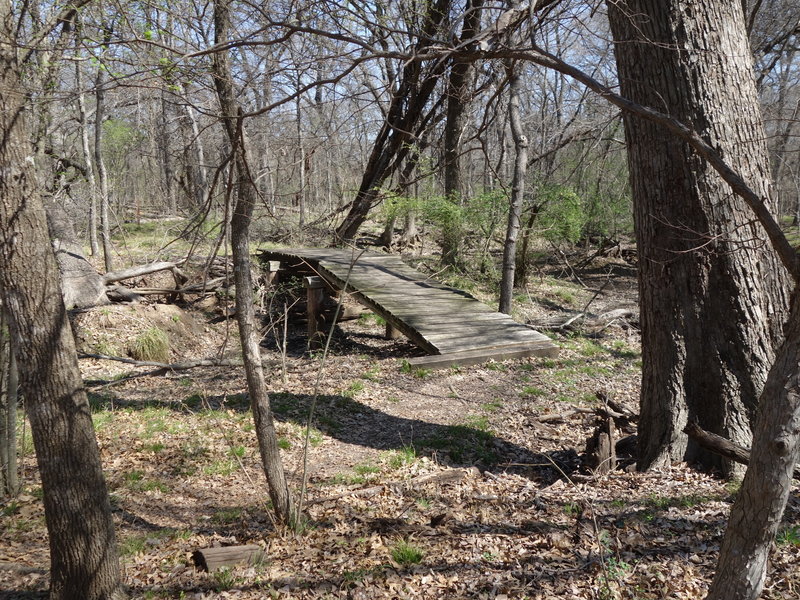 Forked Tail Creek Trail has numerous bridges over the creek.