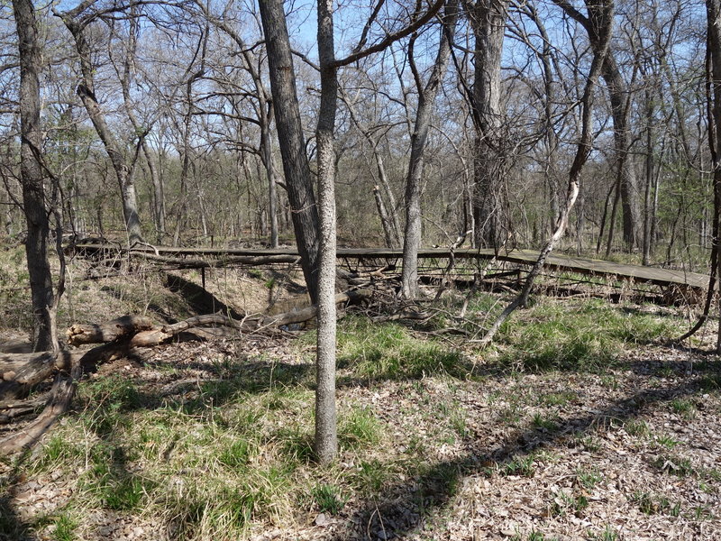 A sturdy bridge aids your second passage over the creek along the Forked Tail Creek Trail.