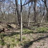 A sturdy bridge aids your second passage over the creek along the Forked Tail Creek Trail.