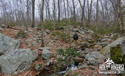You'll cross a few small brooks along this trail.