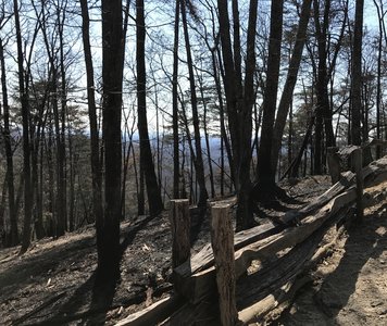 The reward for making it up the switchbacks is that the view from the summit starts to peek through the trees.