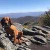 Lunch time, and maybe time for a nap, at The Hangover. Joyce Kilmer Slickrock Wilderness.