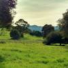 Mt. Umunhum of the Santa Cruz Mountains stands in the distance along the Mine Trail.