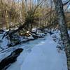 A partially frozen Chapel Creek creates a beautiful wintertime scene near the lakeshore.