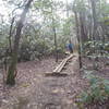 The Hike Inn Lodge Trail aids your passage through this muddy section with raised-plank boardwalks.