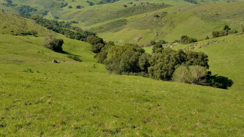 Santa Teresa Creek runs down this valley in the trees.