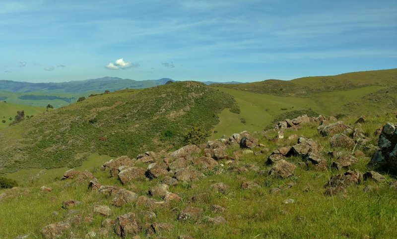 This is the view looking north across the Santa Teresa Creek Valley from high on Rocky Ridge Trail. The East Bay Diablo Range stands in the distance.