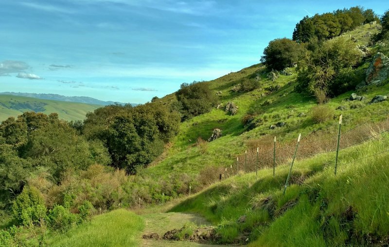 Looking back to the east from high on the Ridge Trail, the East Bay Hills can be seen far in the distance.