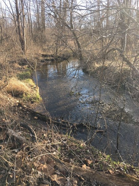 The trail follows a bend in the creek at this spot.