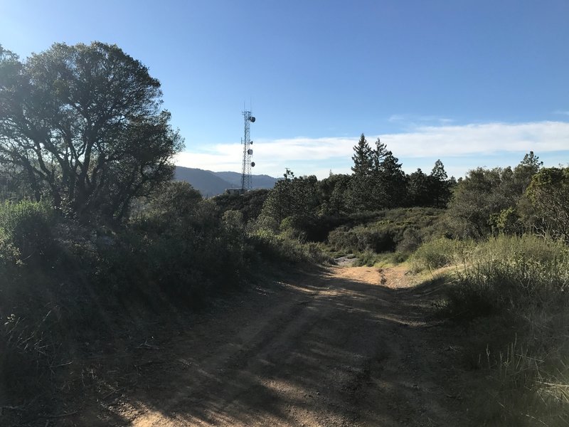 As you approach the boundary of the preserve, a radio tower comes into view.