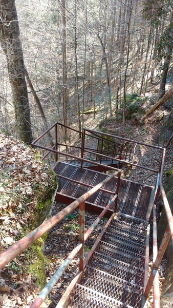 Stairs head down to Yahoo Falls and the Sheltowee Trace.
