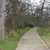 Here, the paved path enters the forest.