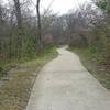 The Trail at the Woods is littered with dogwood blooms.