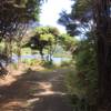 The trail heads around the lake near Bethells Beach.