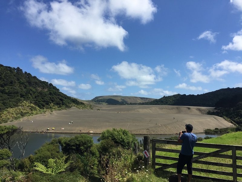 From the trail, look out over the giant Black Sand Dune at Bethells Beach.